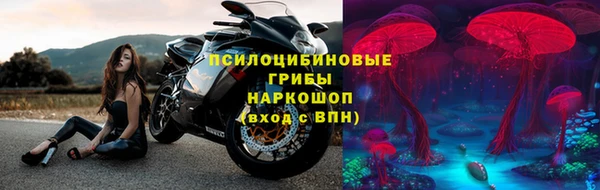 дурь Нефтекумск