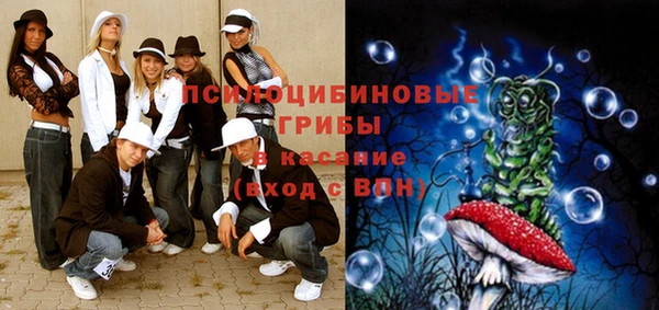 дурь Нефтекумск