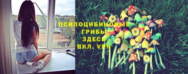 дурь Нефтекумск