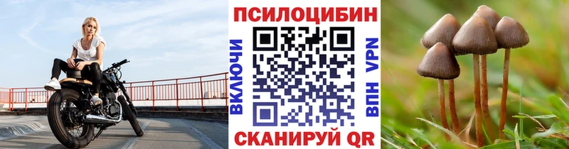 Купить где  Харабали  Псилоцибиновые грибы Cubensis 