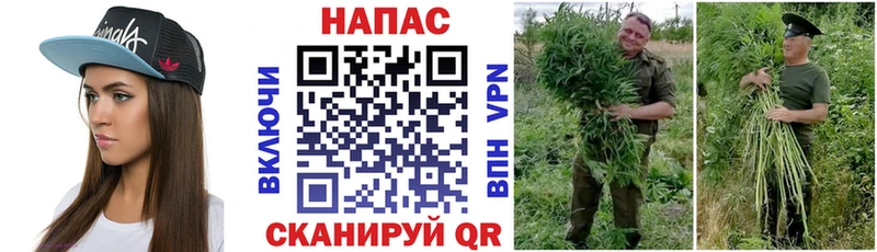 Марихуана White Widow Харабали